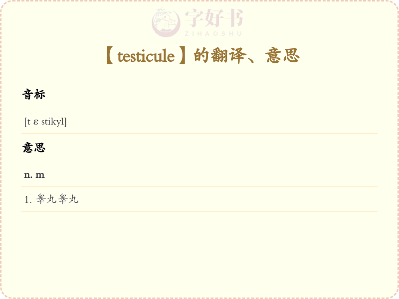 testicule