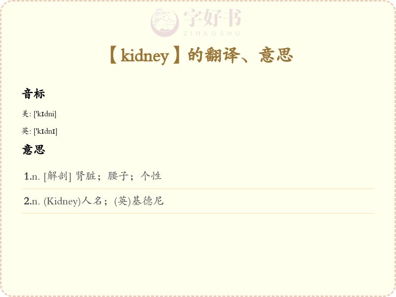 kidney