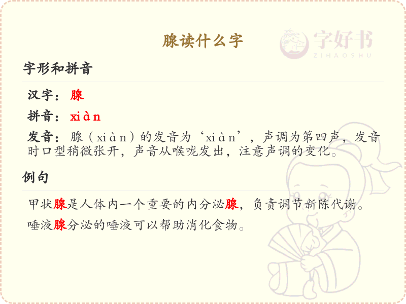 腺的拼音及中文解释_腺字读音详解