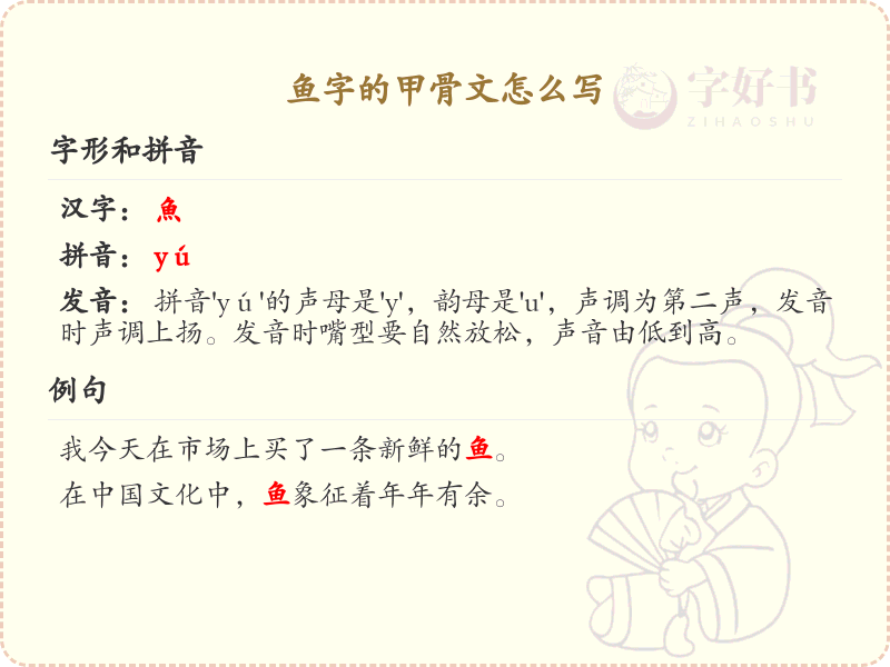 鱼字甲骨文写法详解_鱼字的古代文字形态