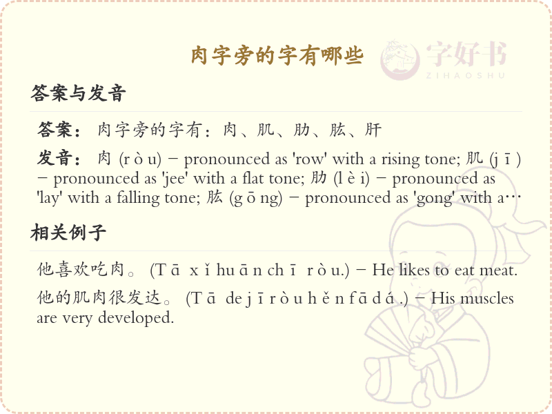肉字旁的汉字有哪些_肉字旁的字