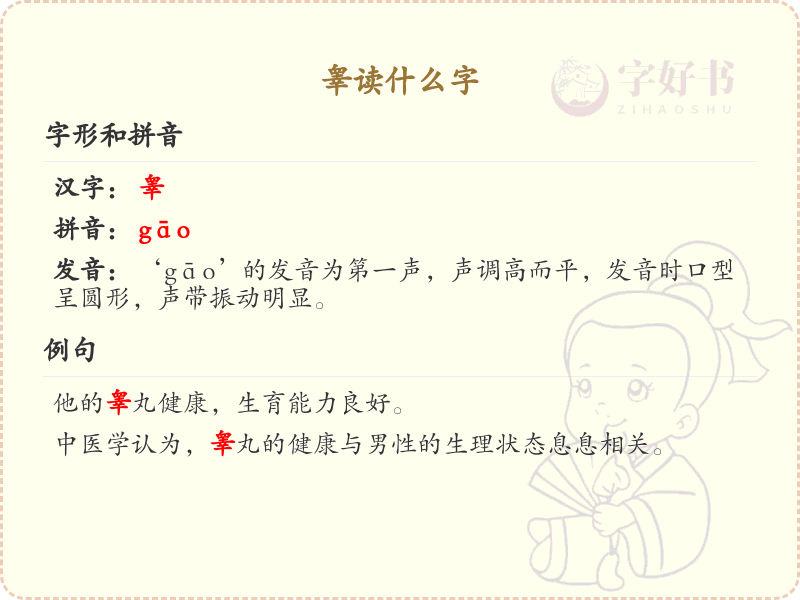 睾的汉字解读_认识睾的读音与意义
