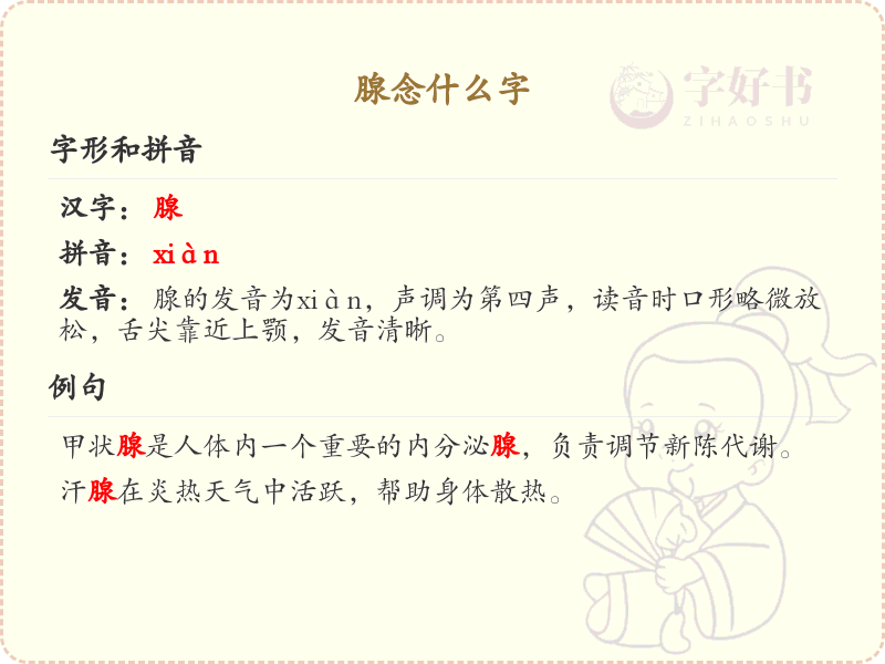 腺的拼音及中文解释_腺的读音和写法详解