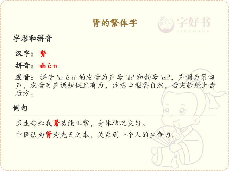 肾的繁体字详解_肾的繁体字写法及用法