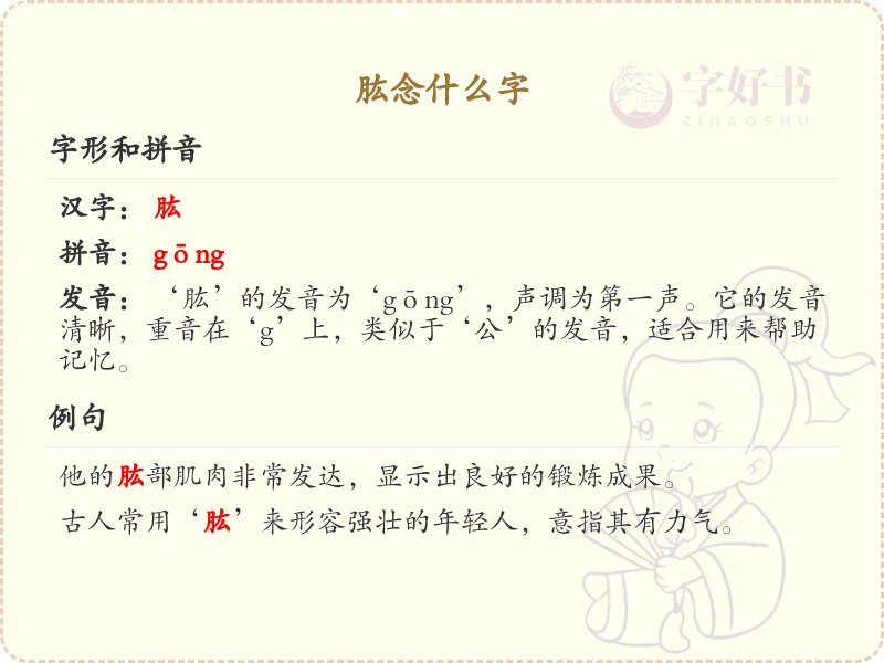 肱的正确读音及详细解析