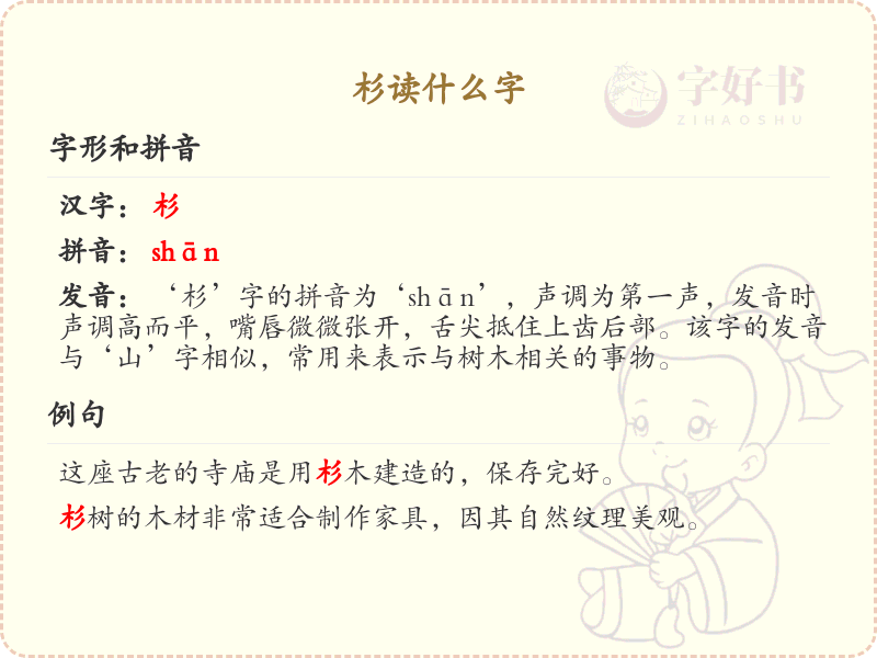 杉的拼音及正确发音_杉字的读音详解