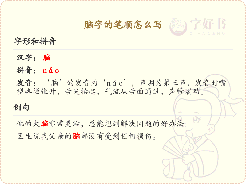 脑字的笔顺怎么写？脑的笔画顺序详解