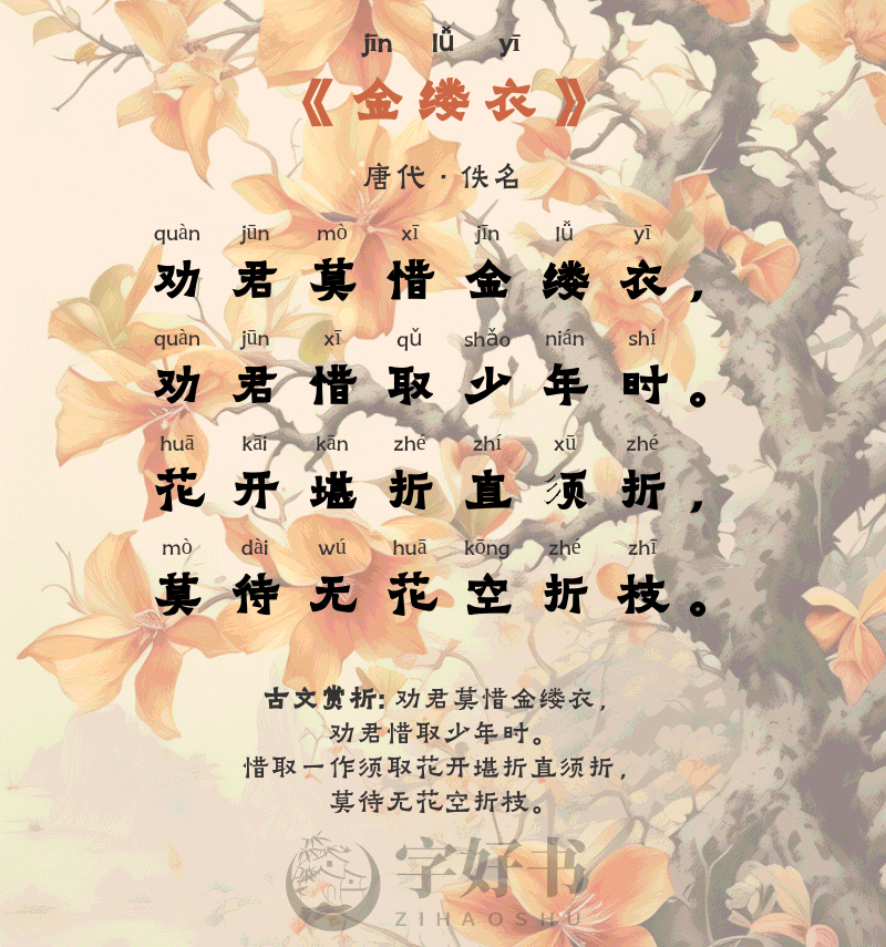 金缕衣
