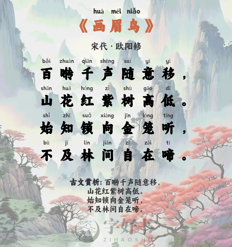 画眉鸟