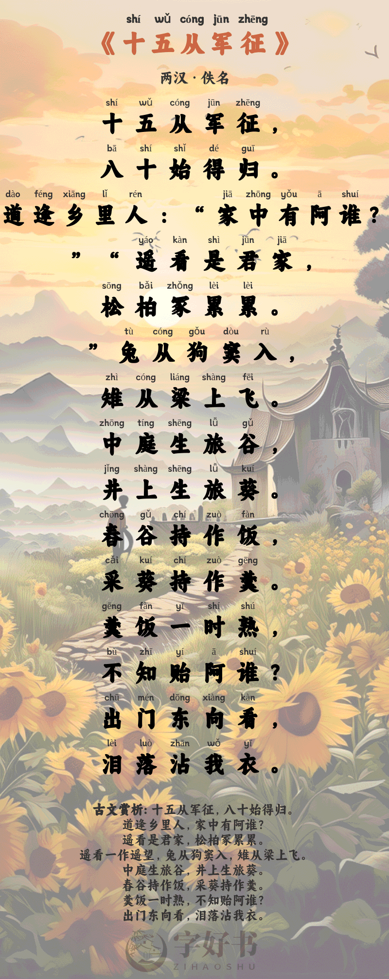 十五从军征