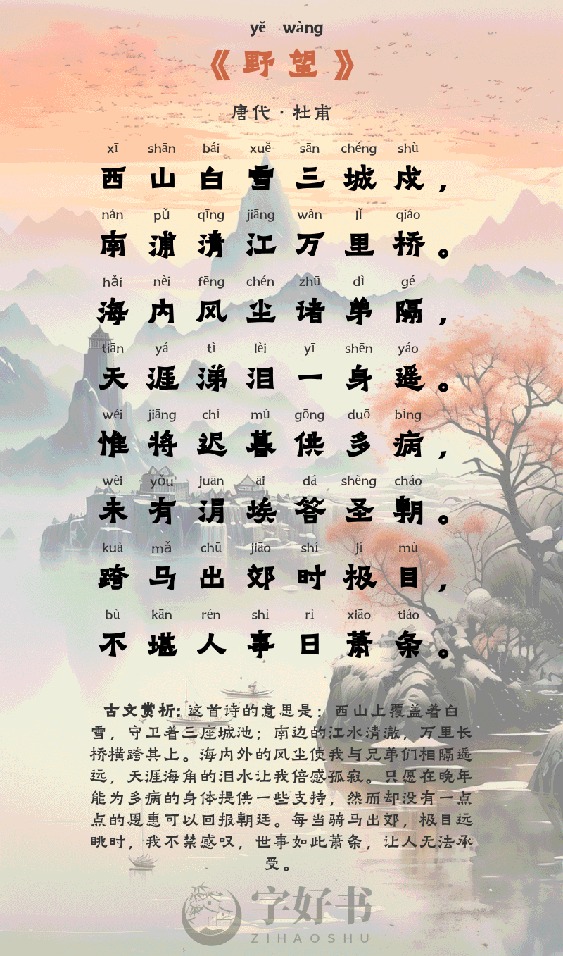 野望