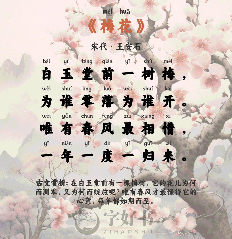 梅花