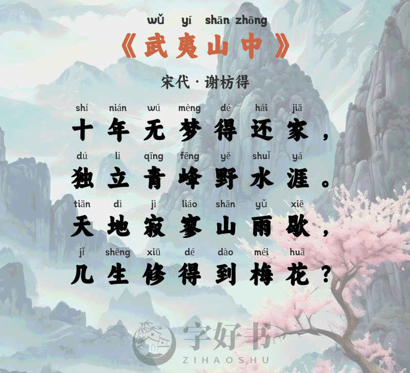 武夷山中
