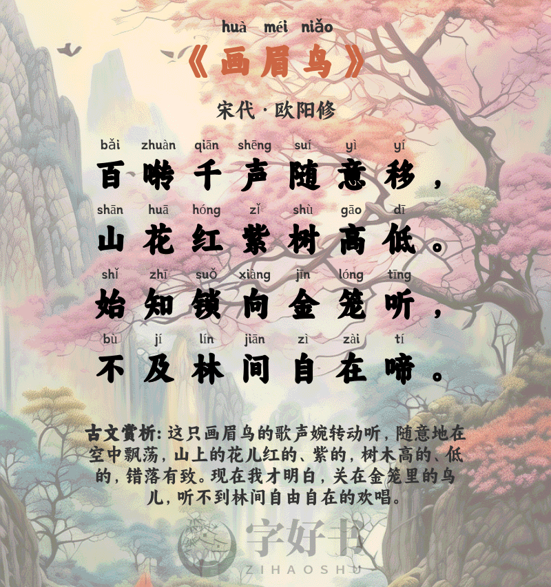画眉鸟