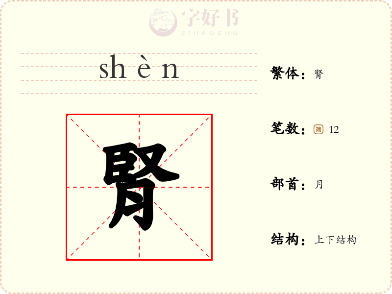 腎