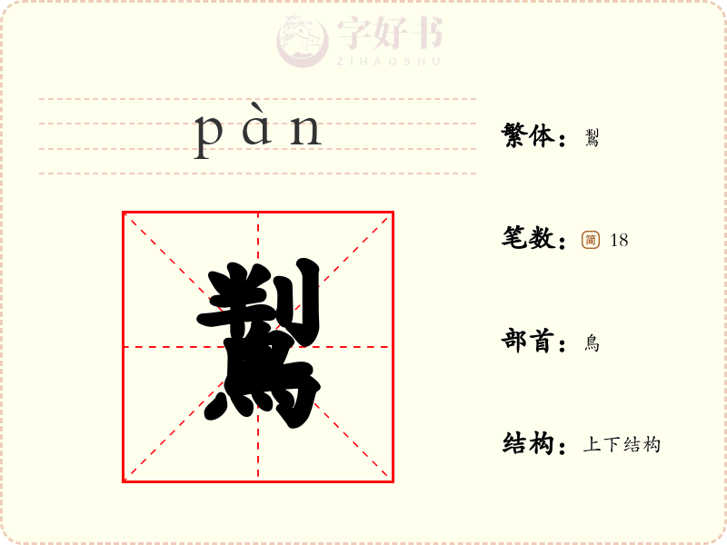 鵥