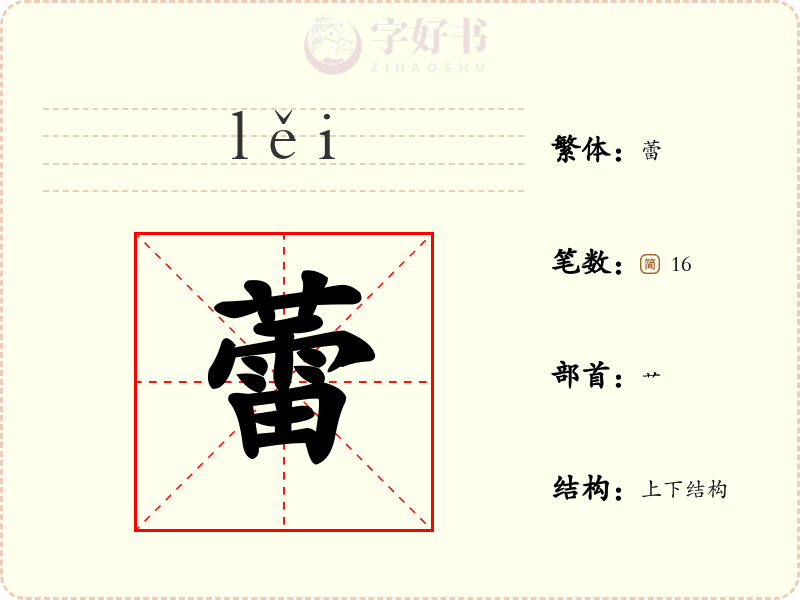 蕾