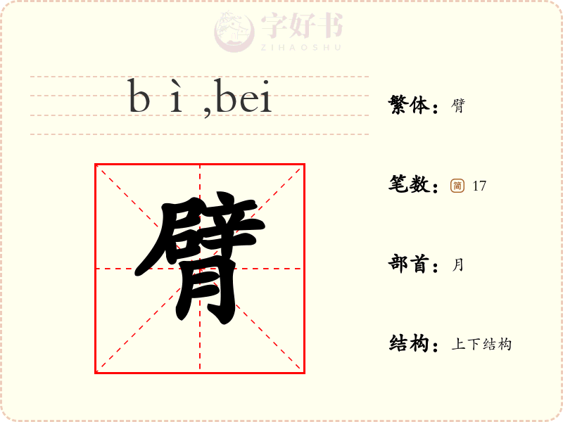 臂