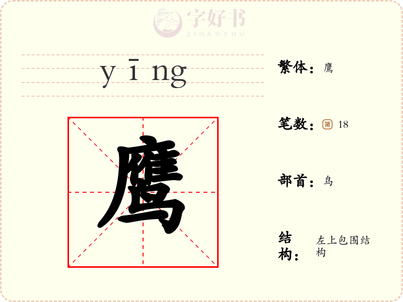 鹰