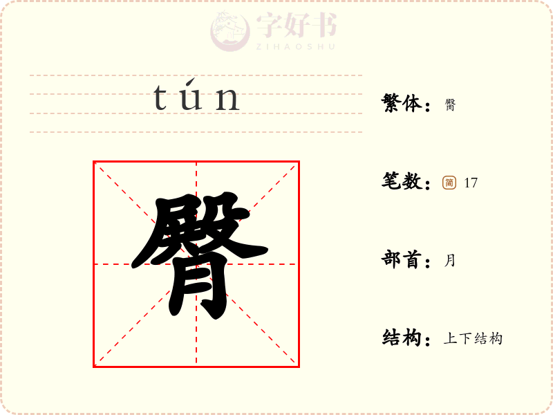 臀