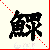 鰥