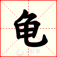 龟