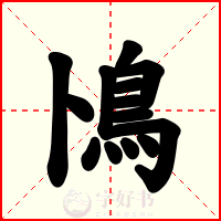 鳪