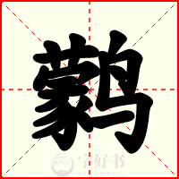 鹲