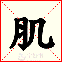 肌