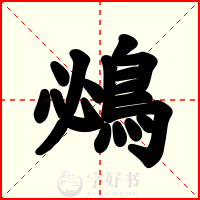 鴓