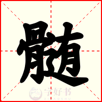 髄