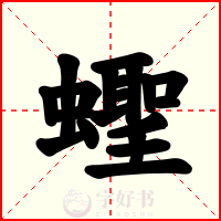 蟶