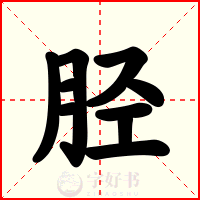 胫