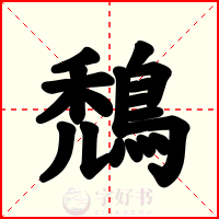 鵚