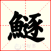鱁