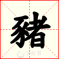 豬