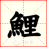 鯉