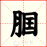 腘