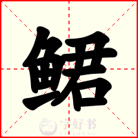 鲪
