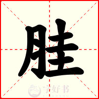 胿