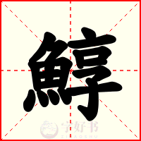 鯙