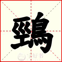 鵛