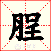 脭
