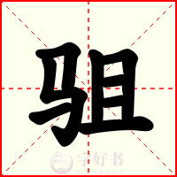 驵