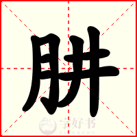 肼