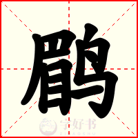 鹛
