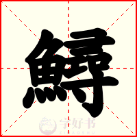 鱘
