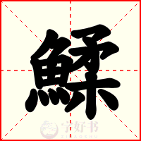 鰇