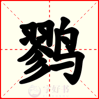 鹨