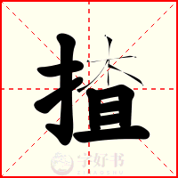 揸